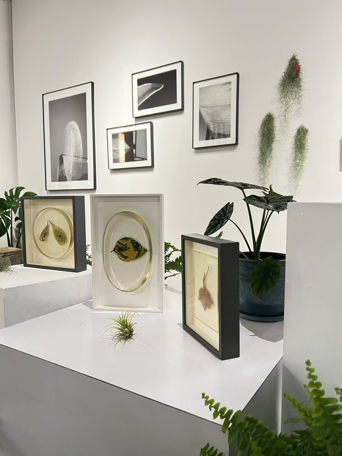 展台作品與植栽配置細節