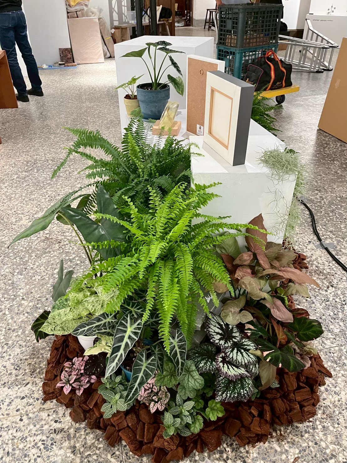 展場植栽進場定位
